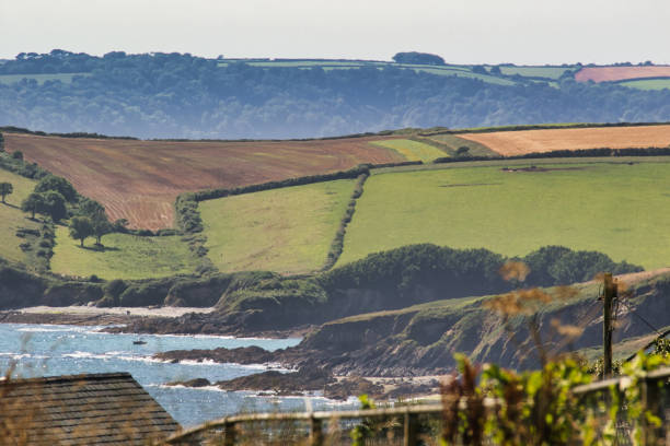 istock Scenic Coastal Landscape with Rolling Hills in Cornwall, UK 2173569340