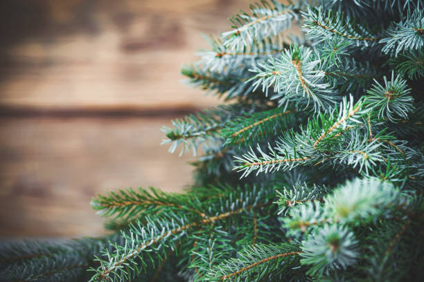 istock Christmas tree on wooden background 2173569597