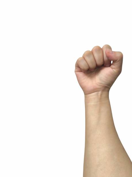 istock Young Asian woman's hand isolated on white background. Hand action for design and advertisement. Human body part 2173569862