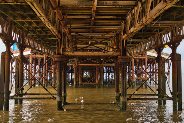 Underneath a pier, showcasing wooden and metal supports with water reflecting the structure. Seagulls are seen floating on the water's surface.