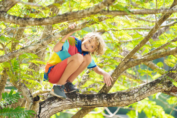 Boy climbing tree in summer park. Kids explore nature. Wild child having fun in forest. Young explorer playing outdoor. Children play and climb trees. Healthy outdoor activity in sunny garden.