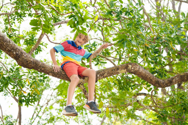 istock Boy climbing tree in park. Kids explore nature. 2173578672