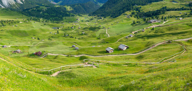 istock panoramic view of blanket-like grass spread the valley, Seceda, Dolomites, Italy 2173579916