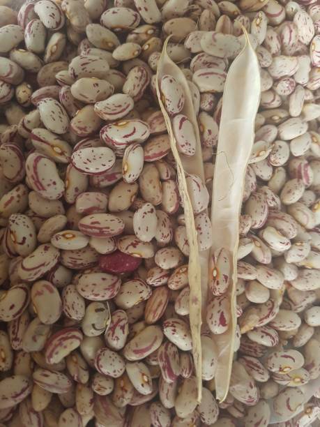 istock Red beans natural Photograph 2173581290