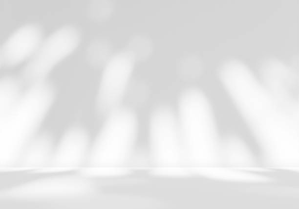 istock Empty white room studio with leaves shadow overlay effect for product presentation display. 2173581740