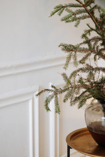istock A Christmas tree with green leaves is sitting on a table next to a white wall 2173582043