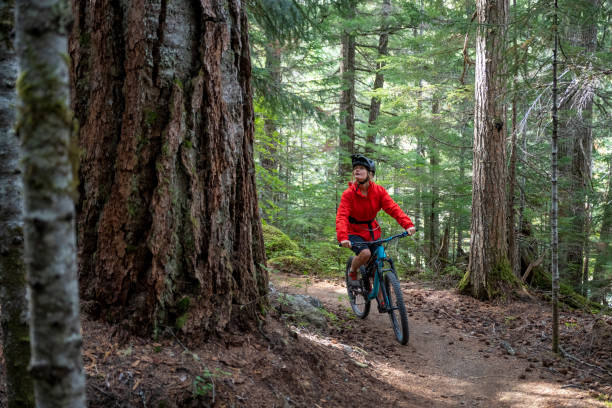 istock Female mountain biker rides through old growth forest 2173586130