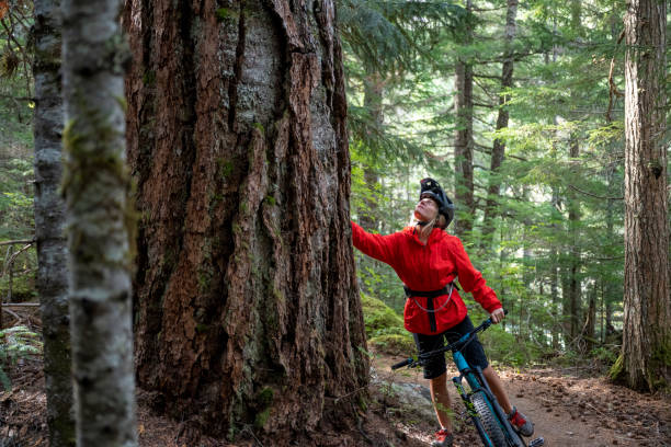 istock Female mountain biker rides through old growth forest 2173586131
