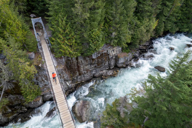 istock Female mountain biker crosses suspension bridge over river 2173587286