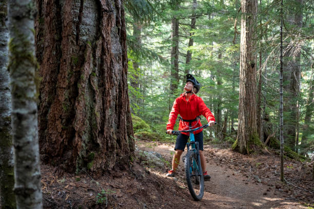 istock Female mountain biker rides through old growth forest 2173587289