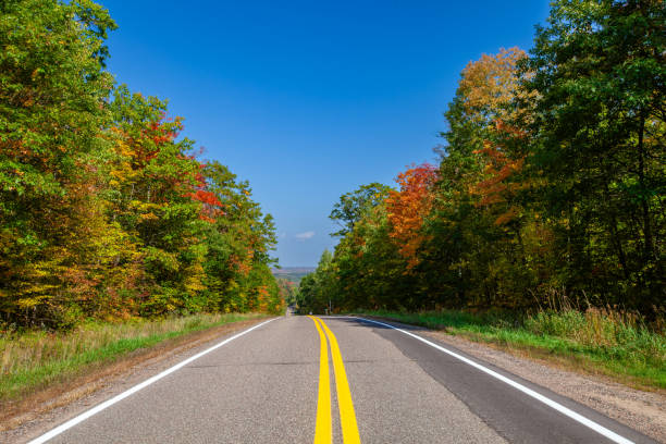 istock Colorful trees on a highway in northern Wisconsin 2173587398