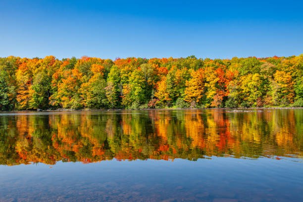 istock Reflection of a colorful forest in the Wisconsin River 2173587494