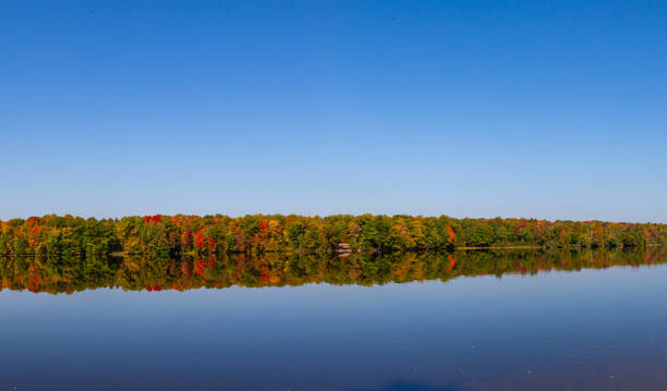 istock Reflection of a colorful forest in the Wisconsin River 2173587525