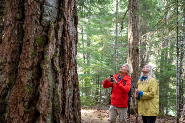 istock Mature couple walk through old growth forest 2173587603