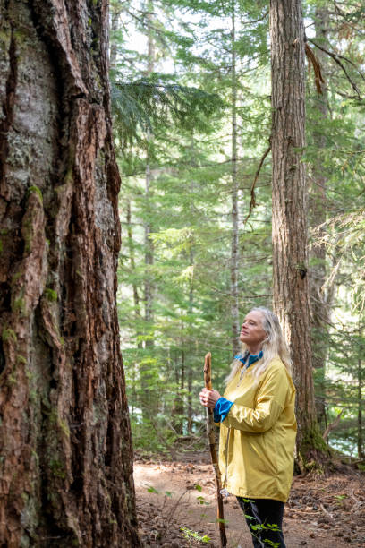 istock Mature woman walks through old growth forest 2173587638