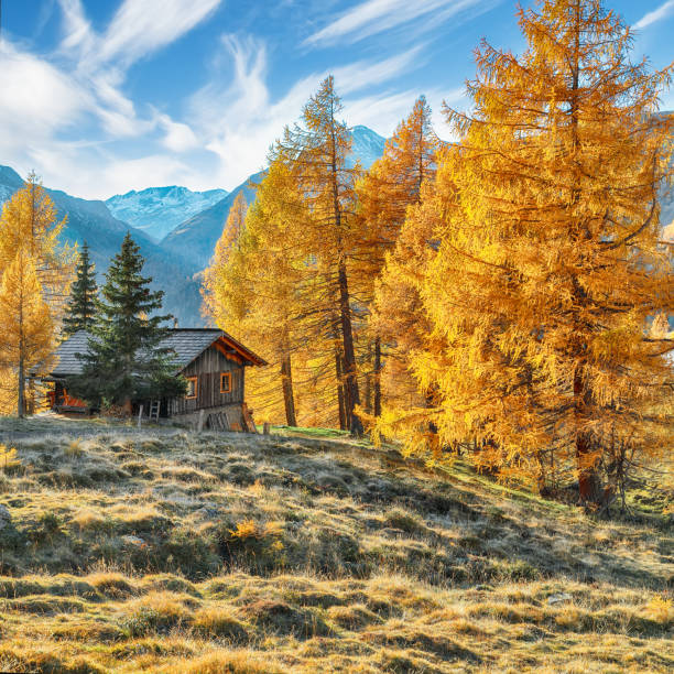 istock Fantastic autumn landscape  at Grossglockner High Alpine Road. 2173587681