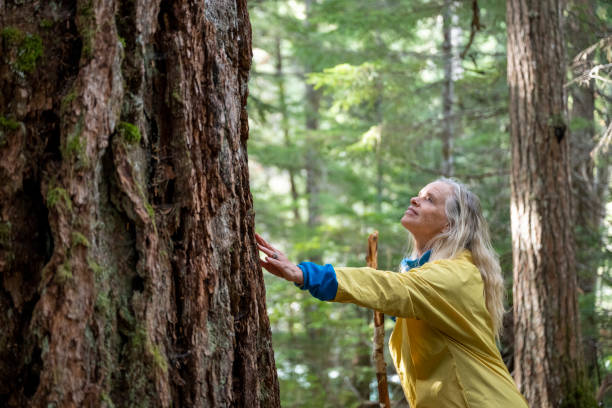 istock Mature woman walks through old growth forest 2173588206