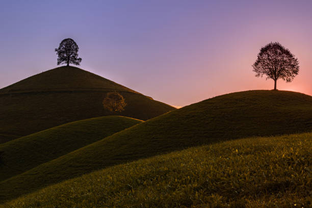 istock Drumlin hills with a single tree on top at the colorful sunset 2173588948