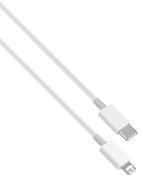 istock Type-C and Lightning cable and connector, insulated on white background 2173593983
