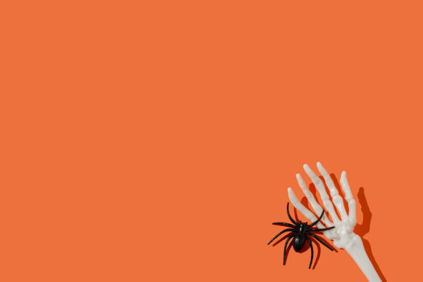 istock Skeleton hand and black spider on orange background. Minimal Halloween concept. 2173599607