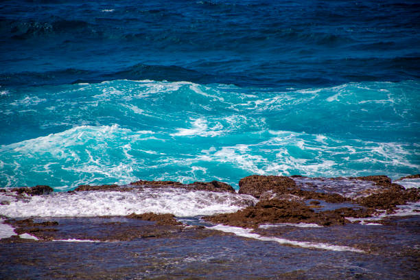 Amami Oshima Coral Reef Sea