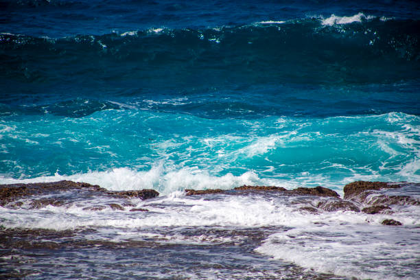 Amami Oshima Coral Reef Sea