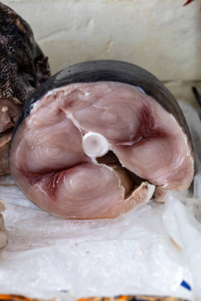istock Tuna steak closeup on fishmonger shelf. Santos, Brazil. 2173626080