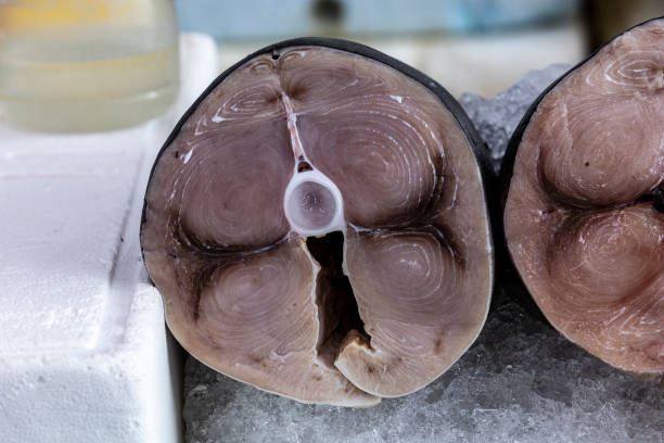 istock Tuna steak closeup on fishmonger shelf. Santos, Brazil. 2173626082