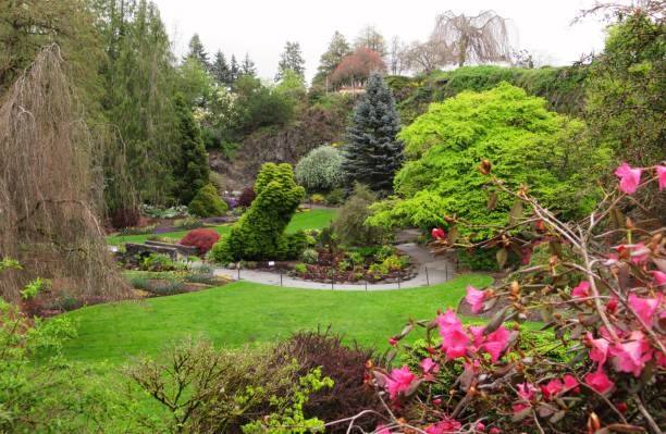 istock Beautiful Spring Scenery In The Park Garden 2173626460
