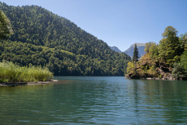 View of a lake located in the mountains with dense forest along the banks.
