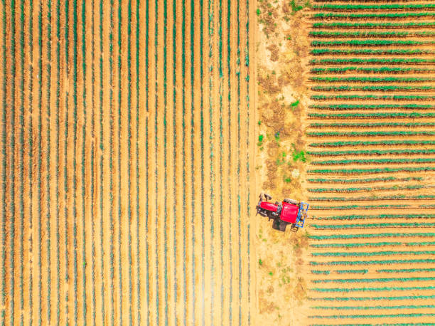 istock Tractor working in agricultural field 2173628192