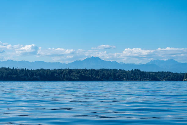 View from the water on the puget sound towards distant forest, mountains, and cloudscape