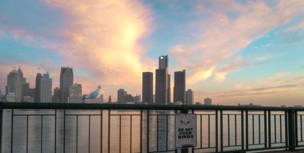 Detroit, Michigan - Skyline at Dawn