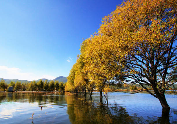 A Magical and Beautiful China  pictures