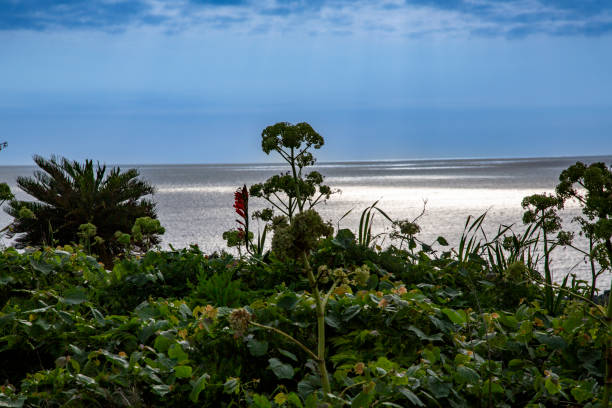 Scenery of Okinoerabu Island