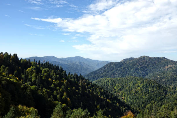 istock Mountain range forest landscape in sunny day 2173634500