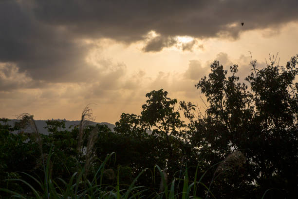 Evening view of Amami Oshima
