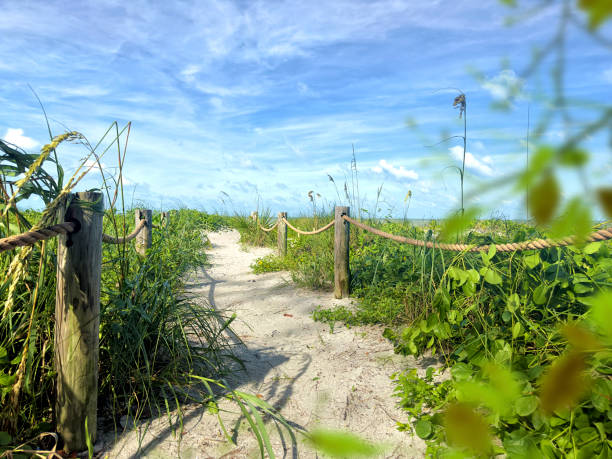 cabo rojo wildlife refuge and lighthouse on horizon at southwestern tip of puerto rico