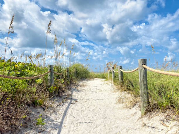 istock Sandy beach footpath at tropical Island over sky 2173634703