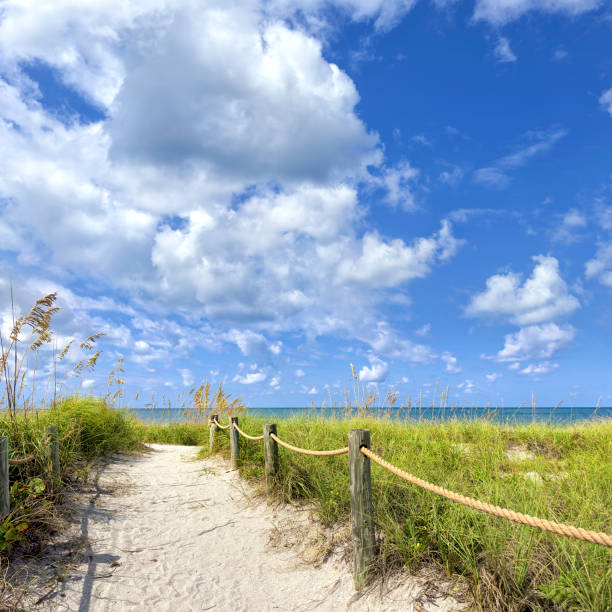 istock Sandy beach footpath at tropical Island over sky 2173634741