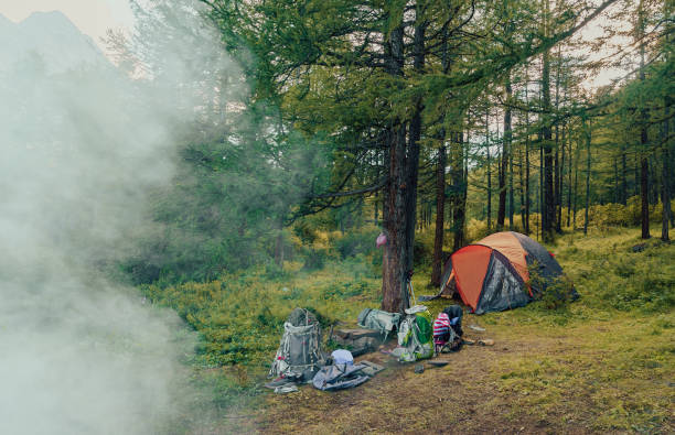 istock wild camping in the mountain forest. Trekking trip in summer 2173635175