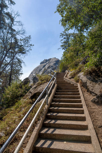 istock Staircase on Moro Rock Trail, Sequoia National Park 1 2173642949