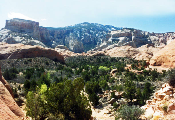 istock Navajo Mountain 2 2173646560