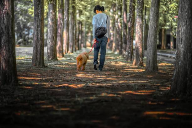 Dog-walking