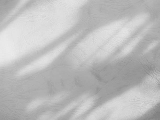 istock Shadow light summer background sunight overlay nature on room cement wall floor abstract blur muckup effect grey minimal platform for presentation product backdrop, wallpaper template display. 2173648014