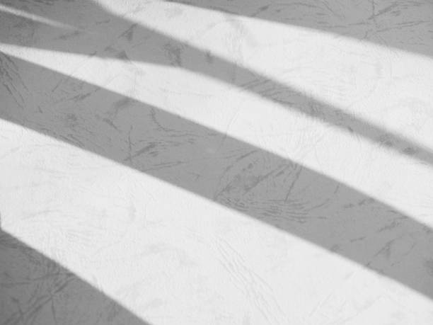 istock Shadow light summer background sunight overlay nature on room cement wall floor abstract blur muckup effect grey minimal platform for presentation product backdrop, wallpaper template display. 2173648031