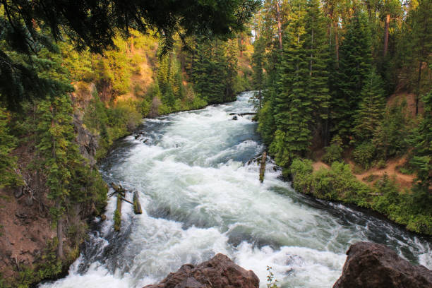 istock Beautiful Benham Falls, view from above 2173651130