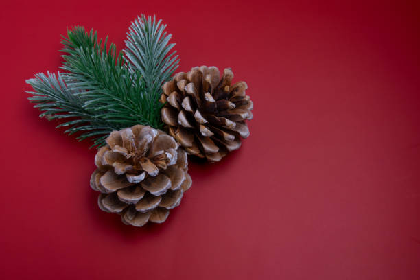 Two brown pine cones and a green evergreen sprig are arranged  at the left on a red background. The pine cones are positioned with their tips facing the bottom right corner of the image, while the evergreen sprig sits on top of the larger pine cone.