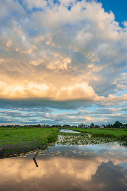 An evening rain shower with mammatus clouds above the Dutch landscape is beautifully reflected in the calm water of a ditch.