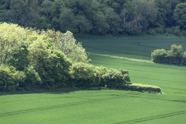 Eco mind and unity with nature.